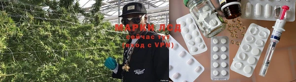 гидропоника Алексеевка